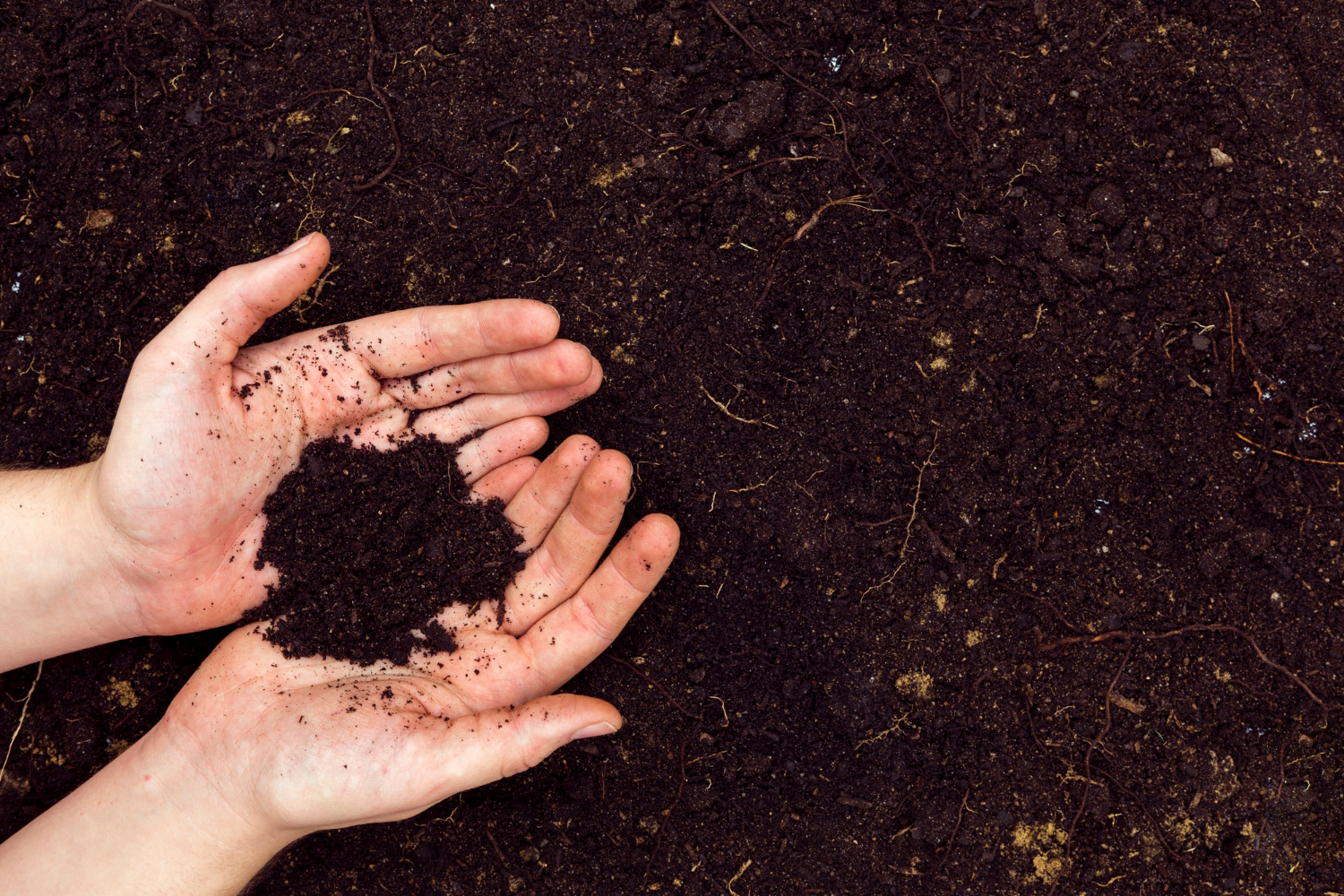 Le compost : un allié de taille pour votre jardin